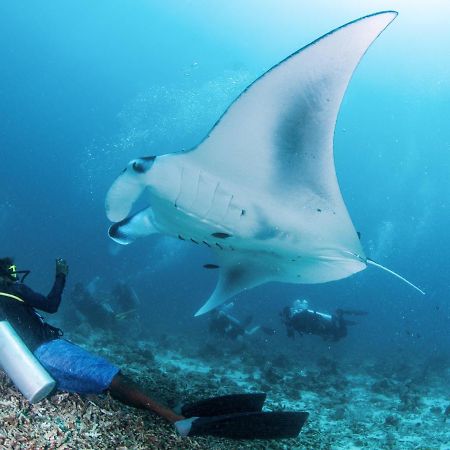 South Ari Dive Center Dhangethi Exterior photo