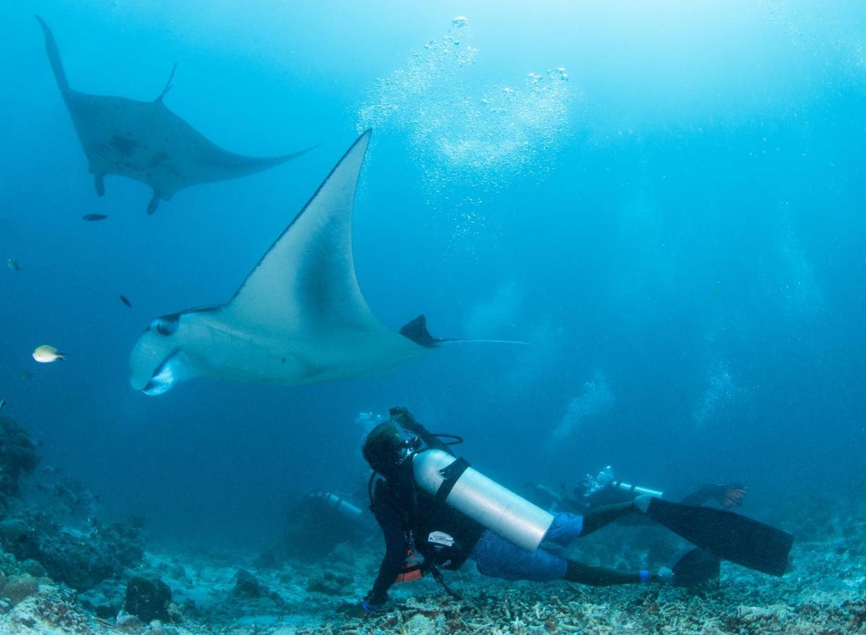 South Ari Dive Center Dhangethi Exterior photo