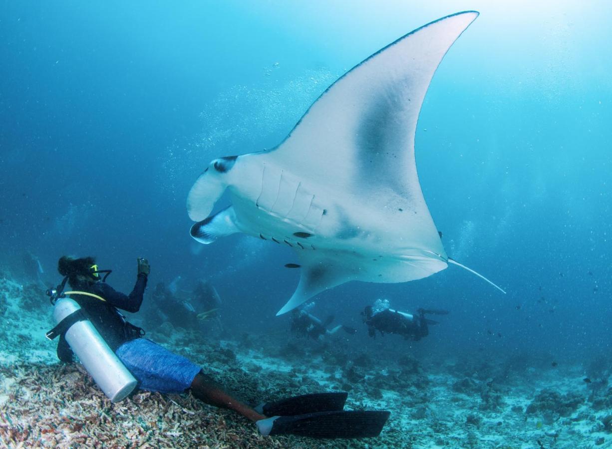 South Ari Dive Center Dhangethi Exterior photo