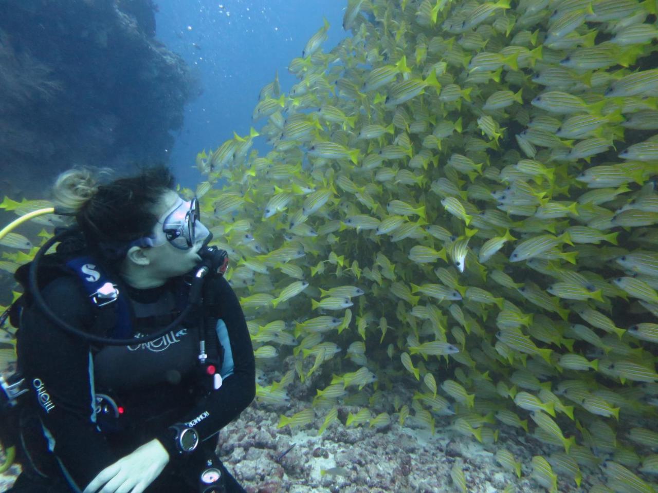 South Ari Dive Center Dhangethi Exterior photo