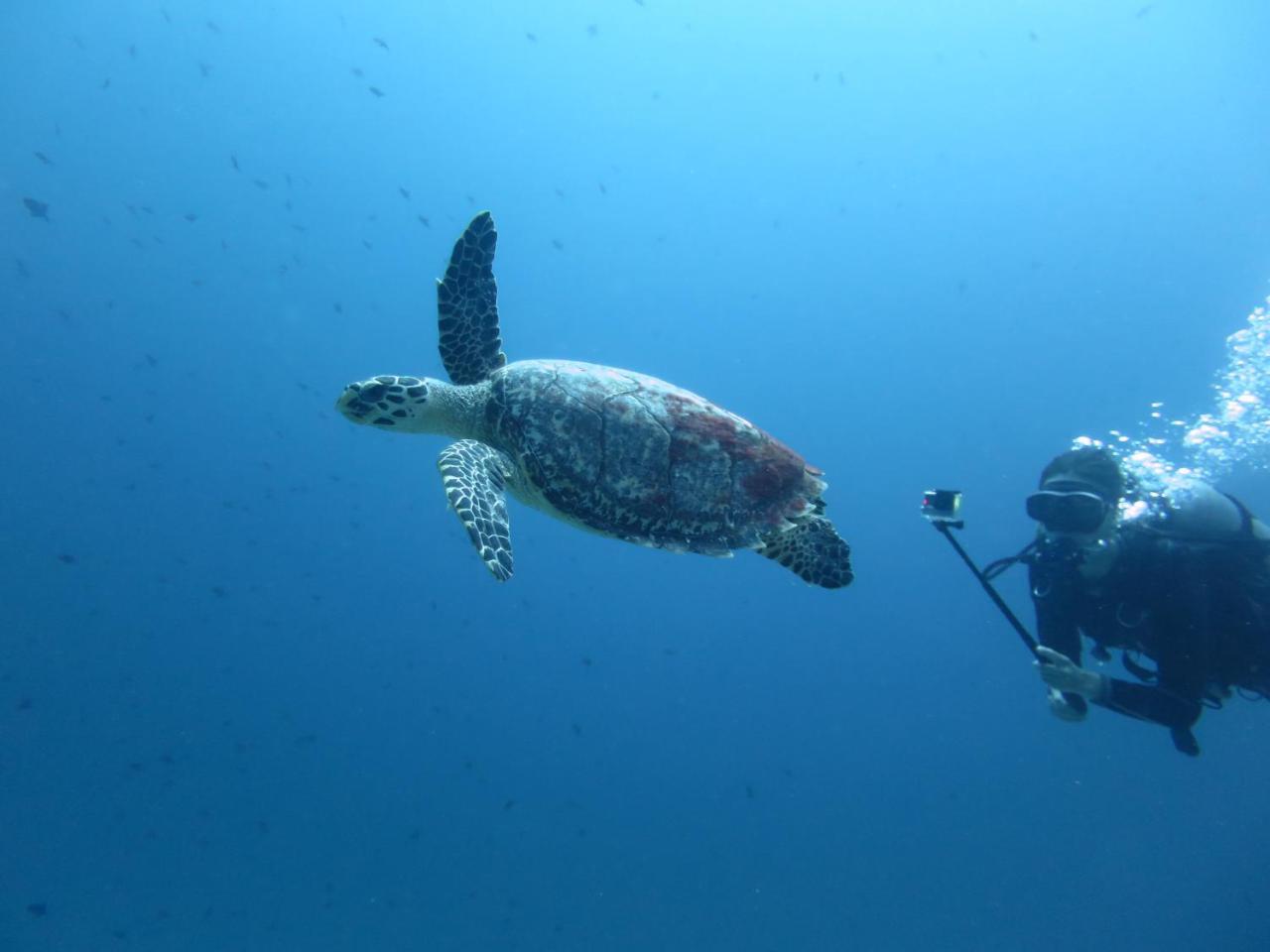 South Ari Dive Center Dhangethi Exterior photo