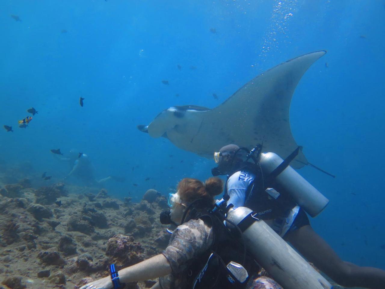 South Ari Dive Center Dhangethi Exterior photo