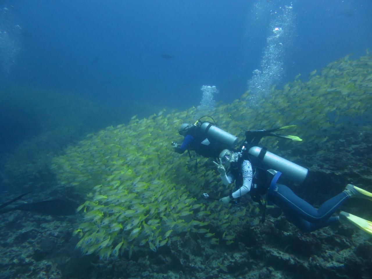 South Ari Dive Center Dhangethi Exterior photo