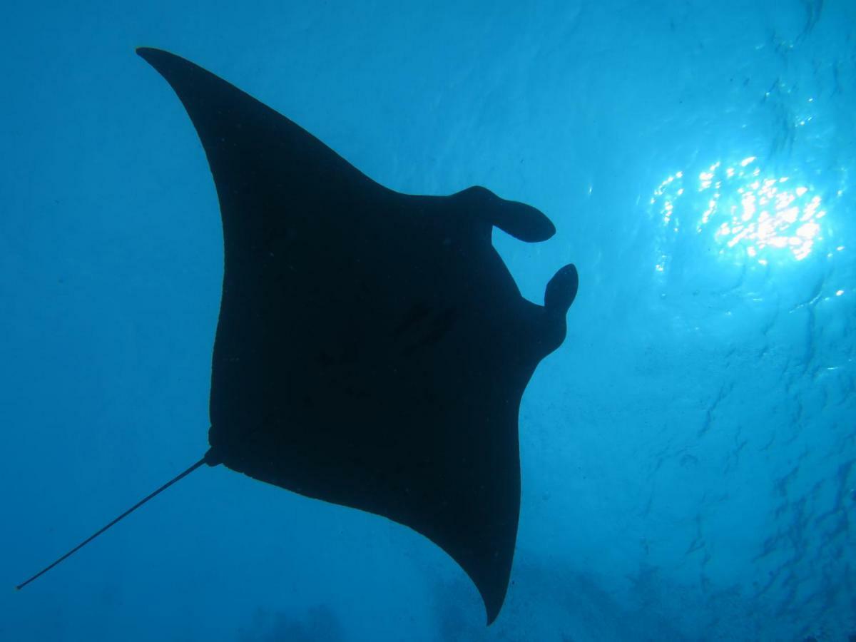 South Ari Dive Center Dhangethi Exterior photo